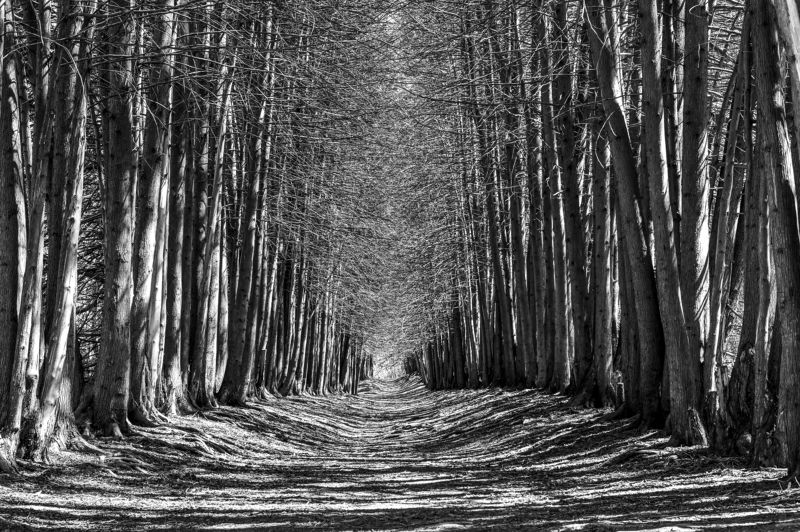 Концептуальное Концептуализация фото превью