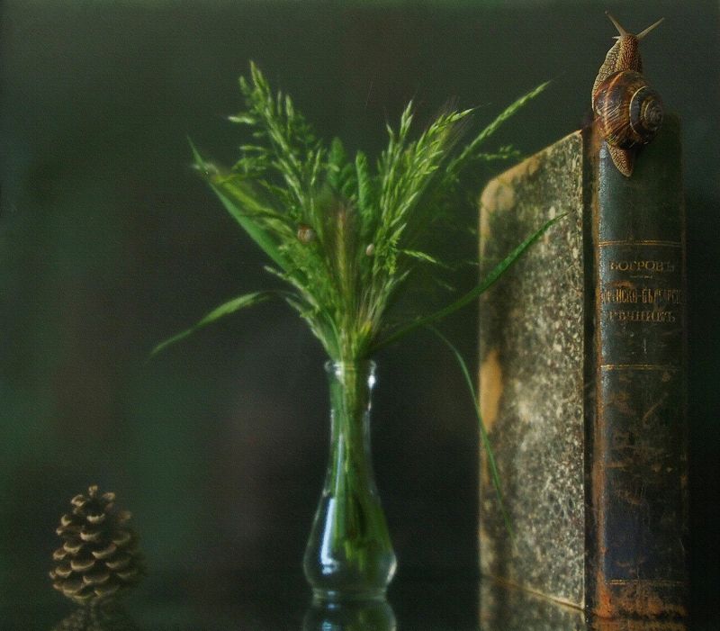 Френско - Български Речникь фото превью