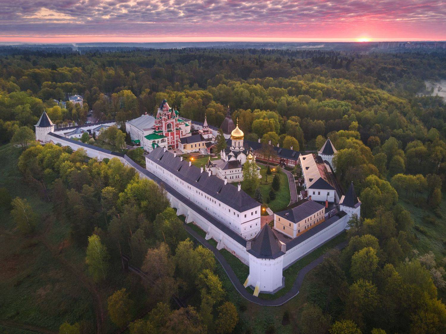 , Дмитрий Купрацевич