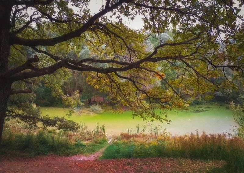 Пастельный камерный пейзаж в парке фото превью