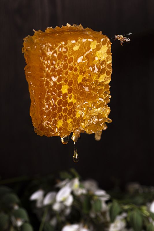 Мед фото превью