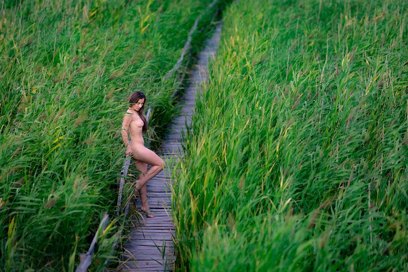 The marshes фото превью