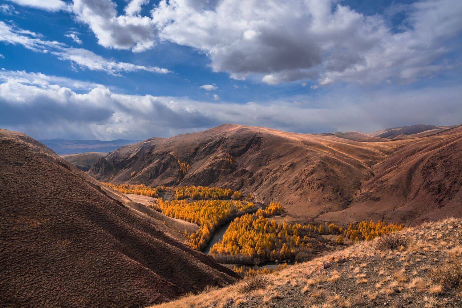 россия, горный алтай,осень, Андрей Поляков