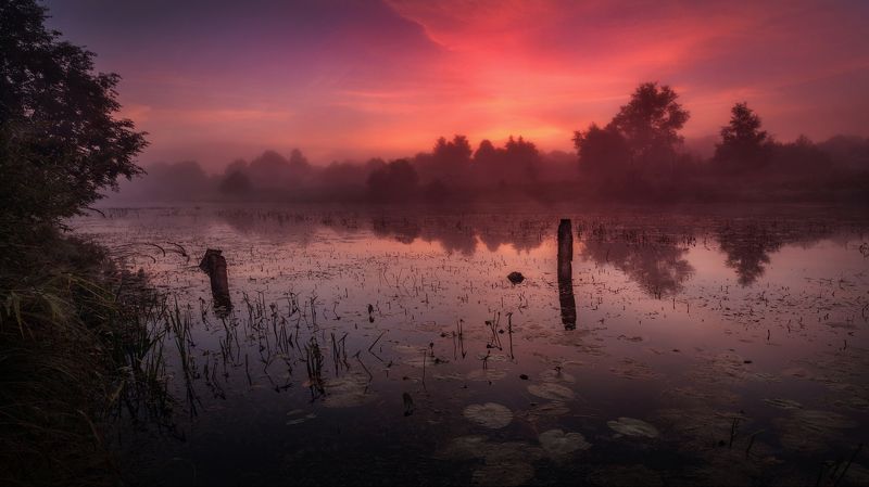 озеро, горы, лес, природа, закат, рассвет, красота, приключения, путешествие Утреннее счастье фото превью