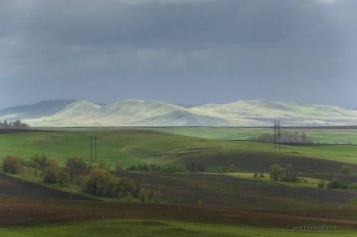 Оренбургская степь