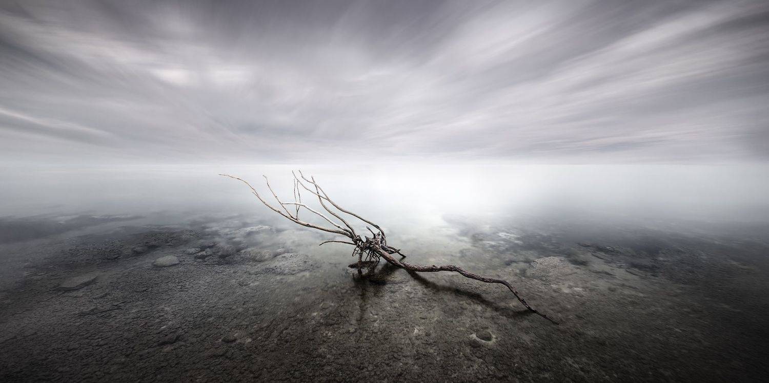 , Alexandru Popovski