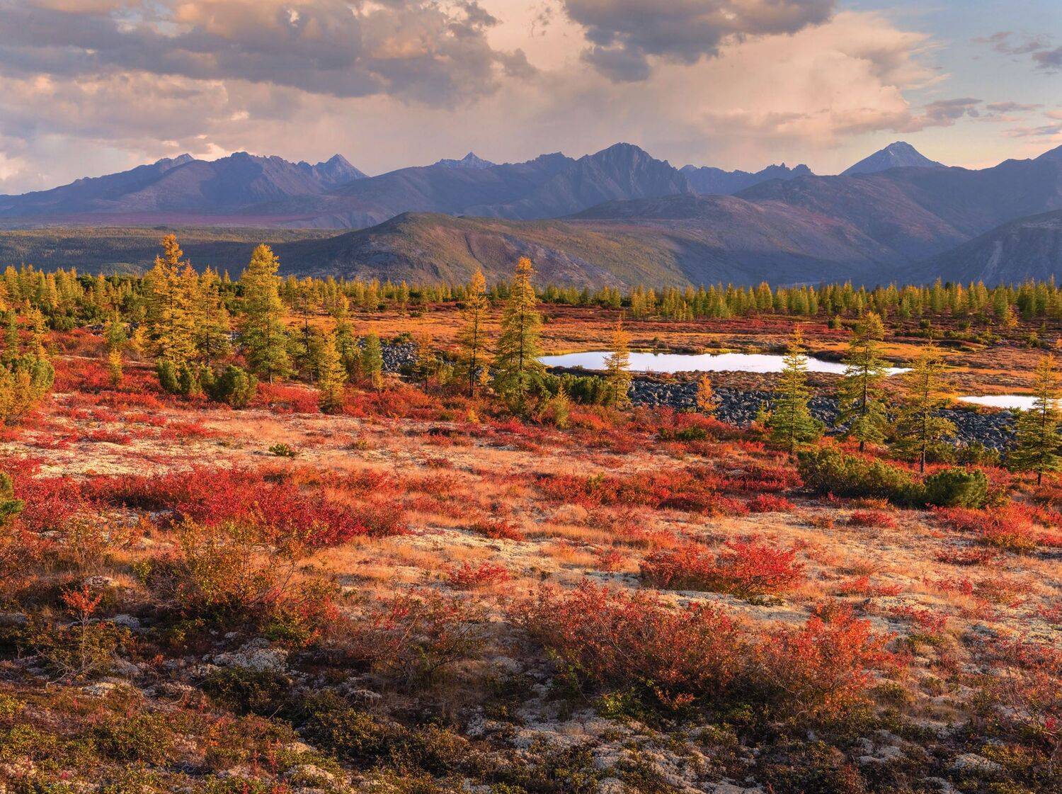 Фототуры с Владимиром Рябковым, озеро Джека Лондона,Сообщества: #topnature #russpasibo #magic_shots #lovelyRussia #sunset_vision #exclusive_sky  #exclusive_shots #loves_russia2 #photoarena_nature #nature_sultans #nature_perfection #rsa_sky #rsa_sunset #ph, Владимир Рябков