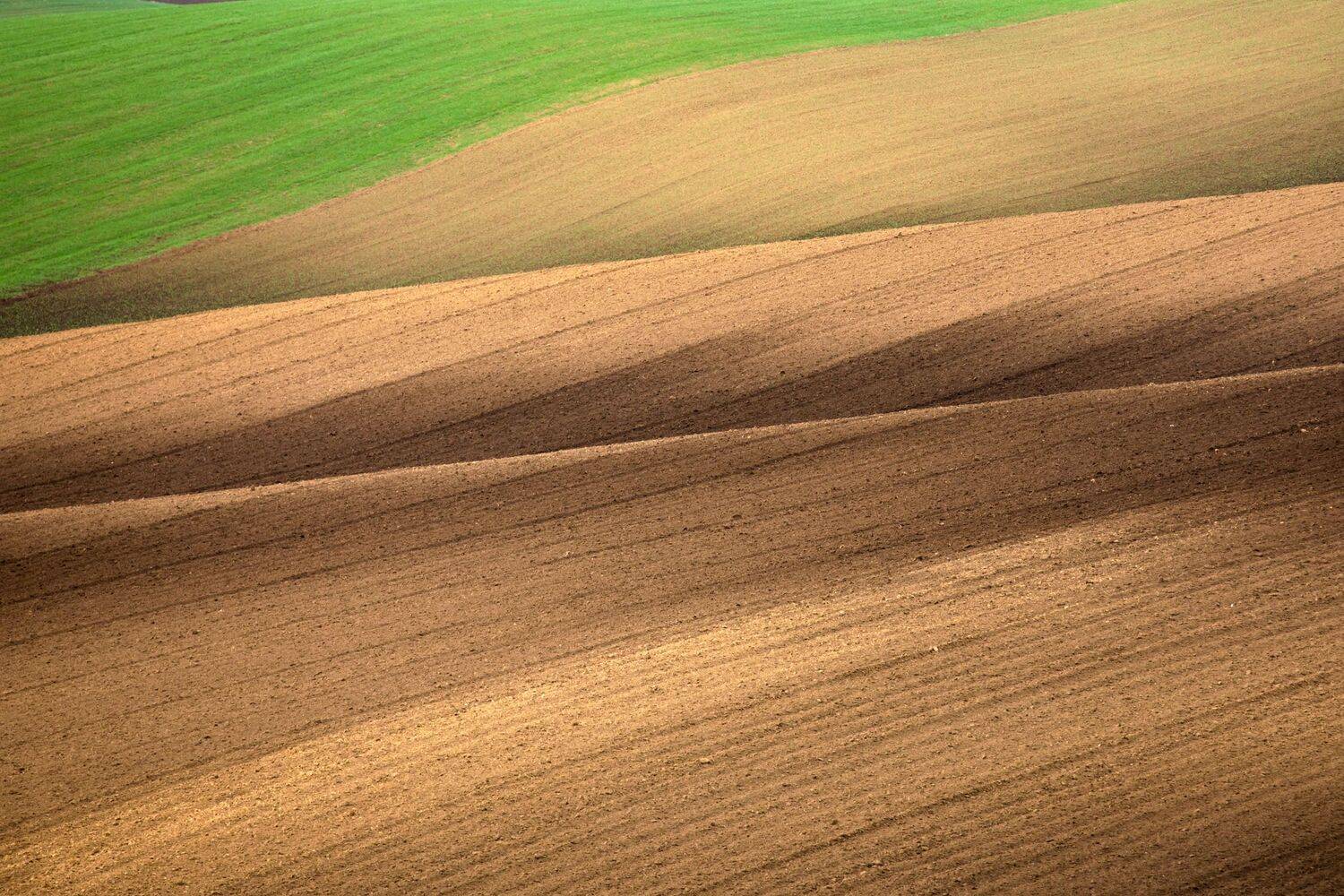 geo-metry, Евгения Чех