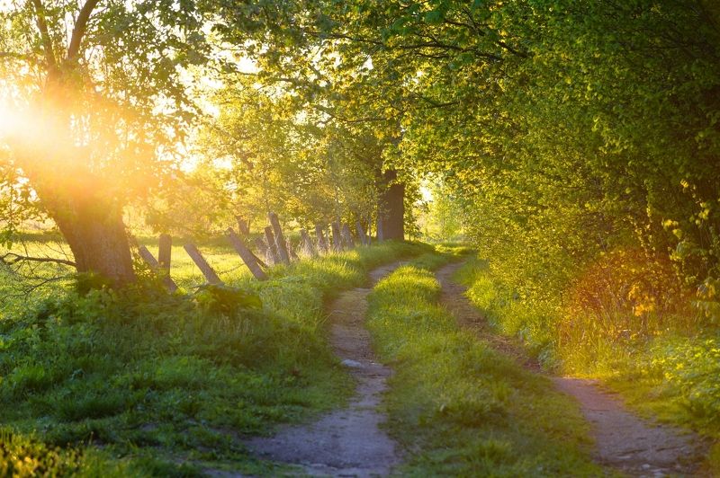 Утро в деревне фото превью