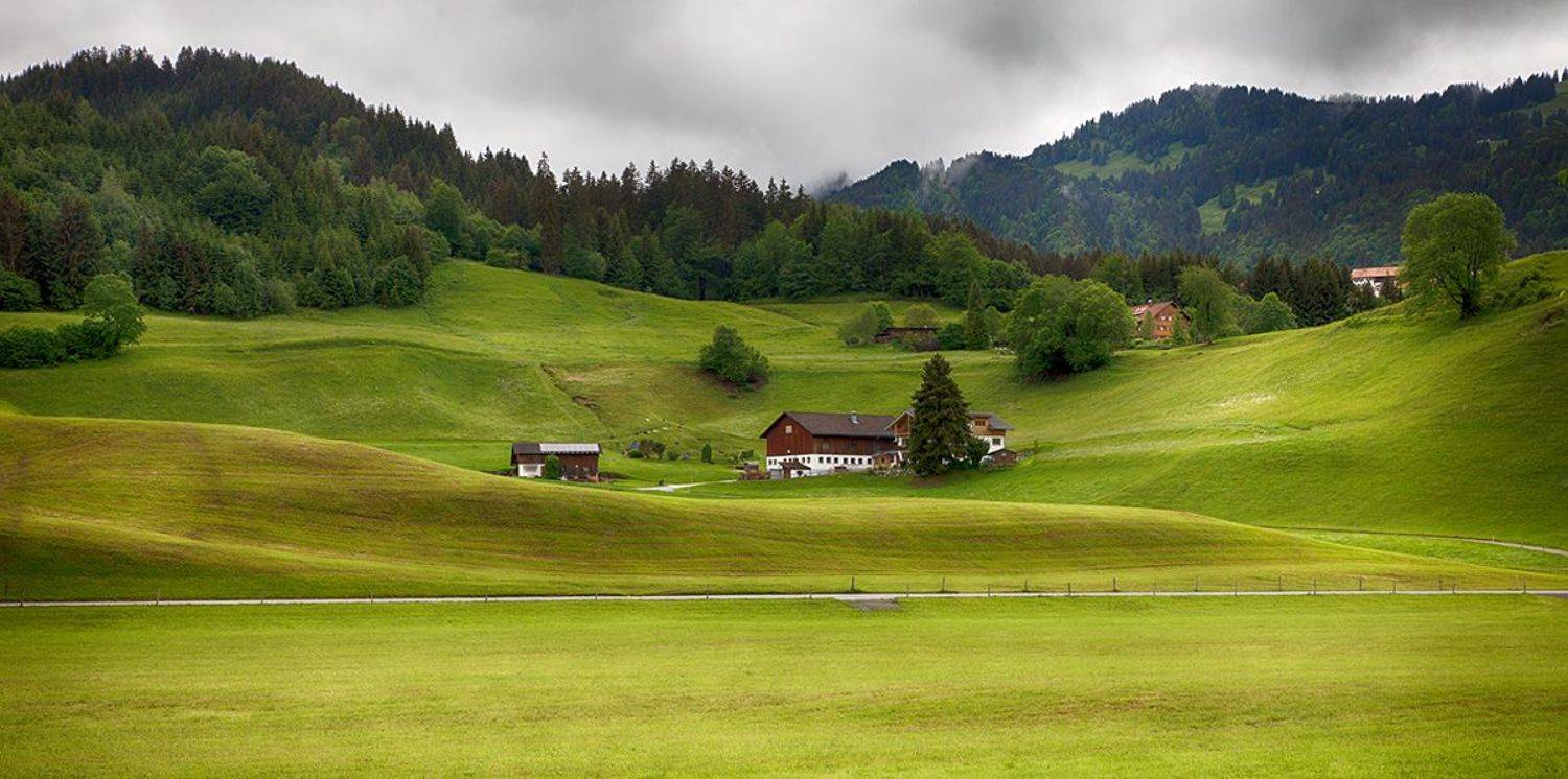 , Игорь Дубровский