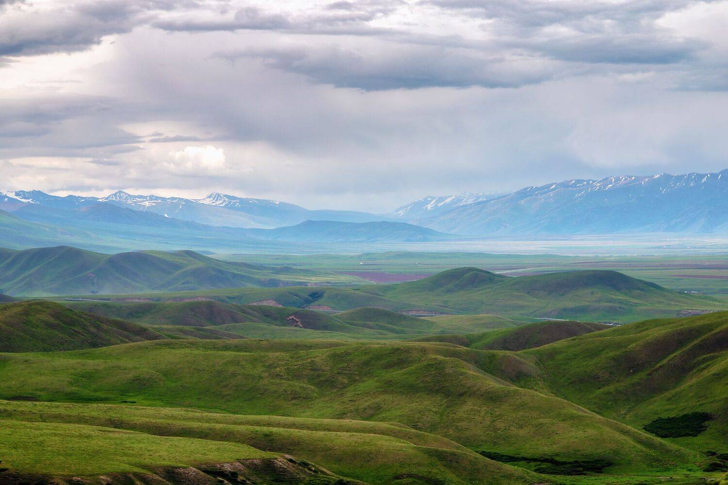 кыргызстан,горы, суусамыр, Элина Магалимова