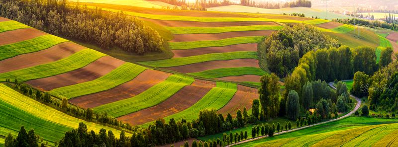 Spring in South Moravia фото превью
