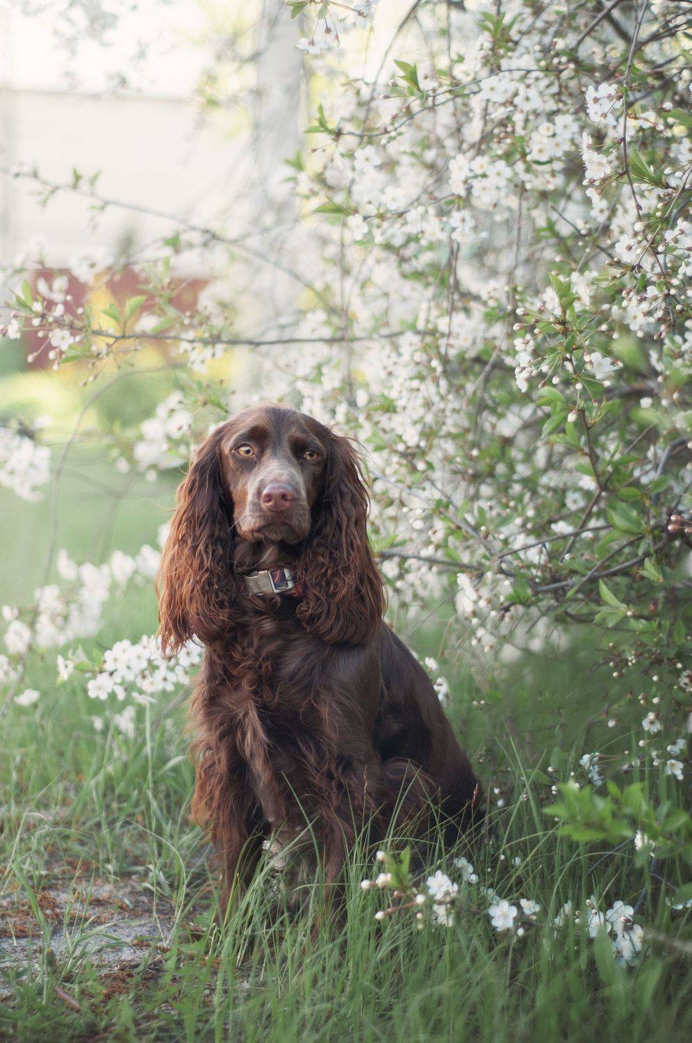, Динара Зуйкова