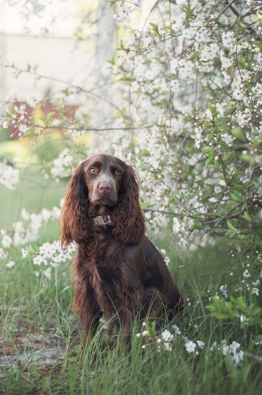 Айти фото превью