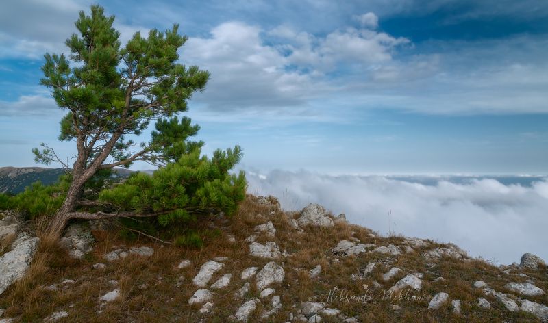 Он шёл на Одессу а вышел к Херсону ... фото превью