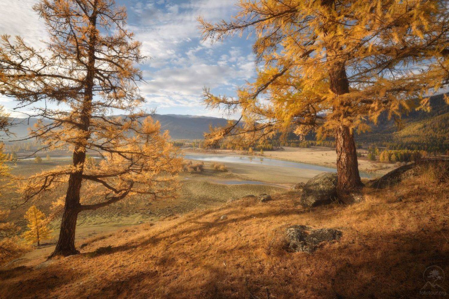 джазатор, алтай, Анатолий Гордиенко