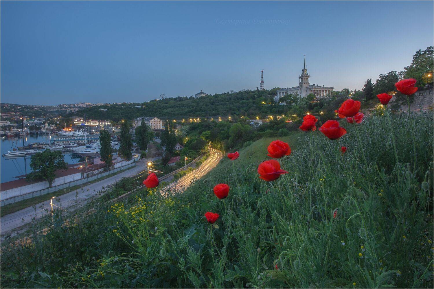 севастополь, весна, вечер, город, городской пейзаж, крым, sevastopol, crimea, маки, цветение маков, Дмитренко Екатерина