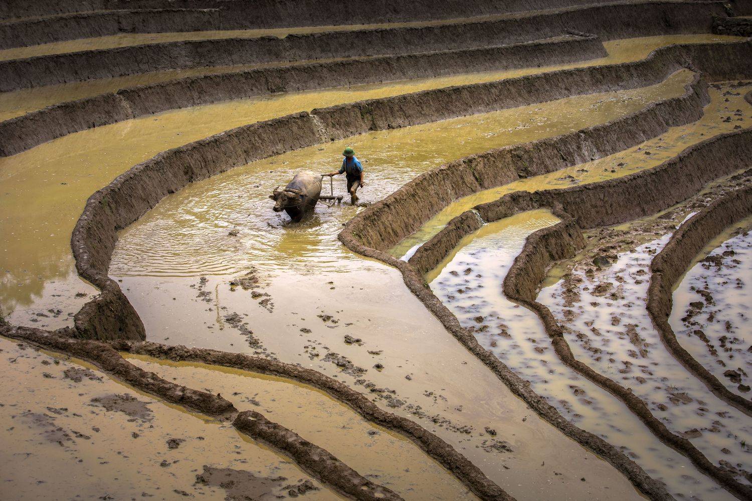 , vannguyenhop29@gmail.com