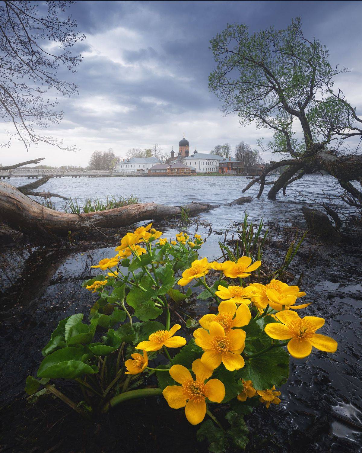 , Анна Политова