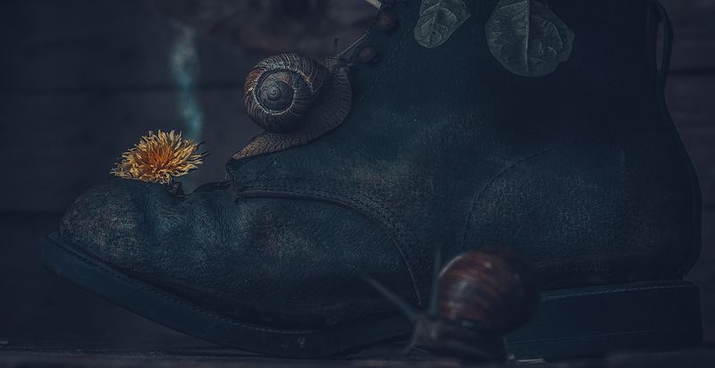 Still life... фото превью