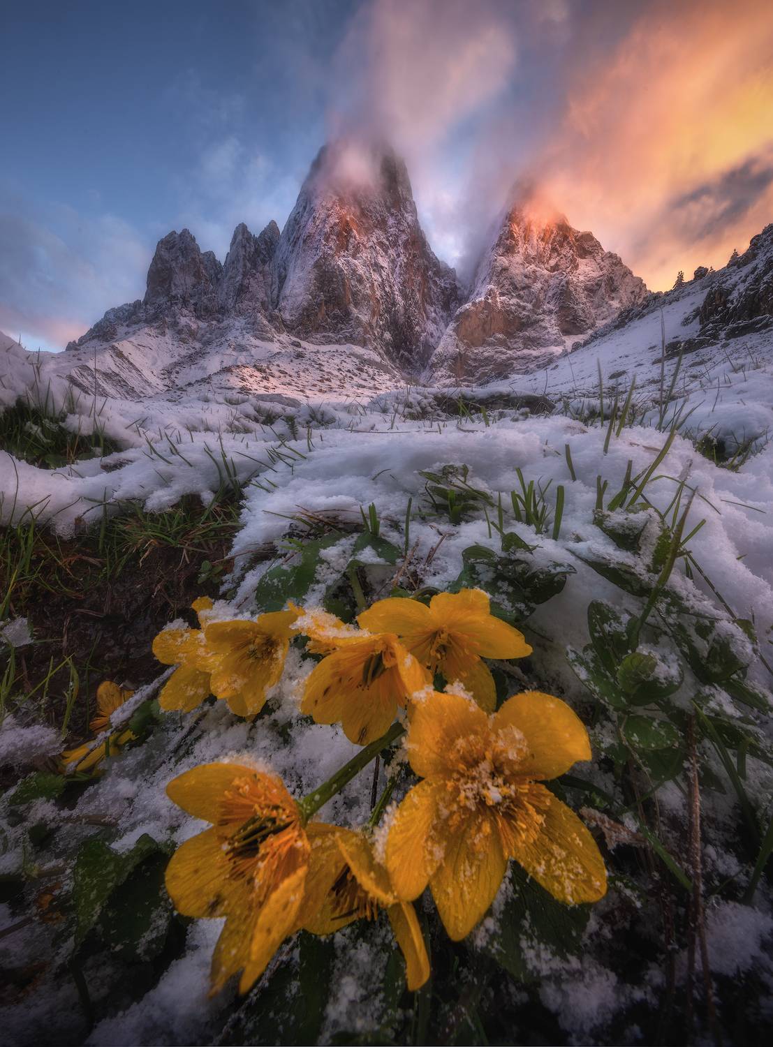 , Андрей Грачев