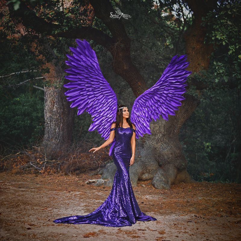 фото превью