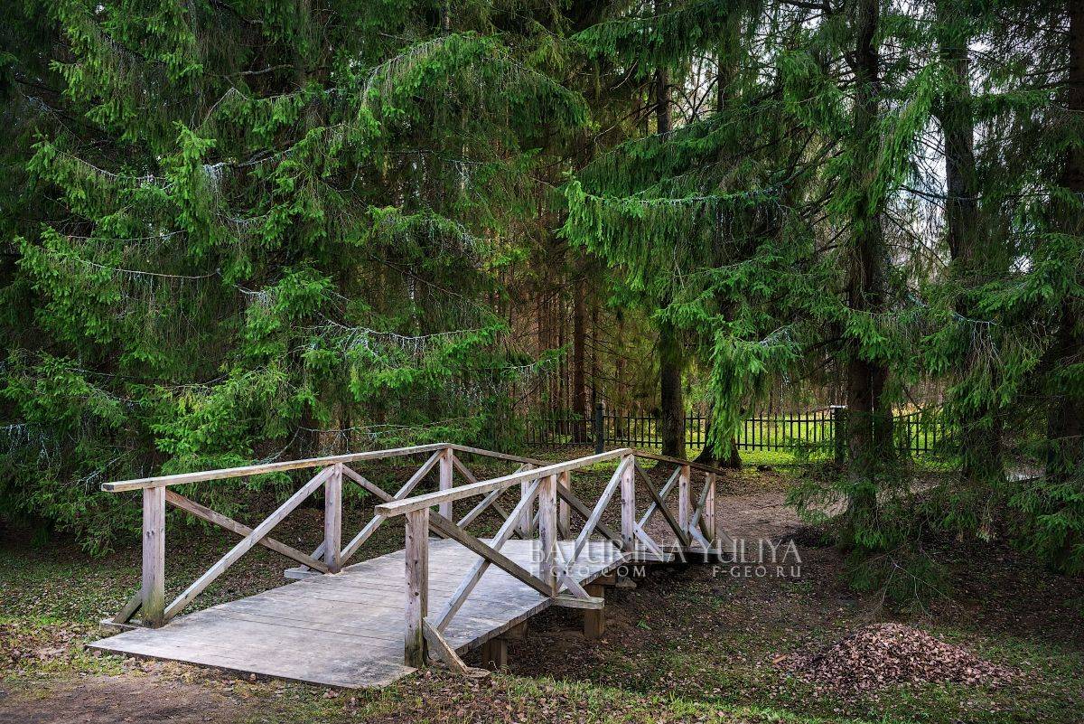 щелыково, островский, кинешма, Юлия Батурина