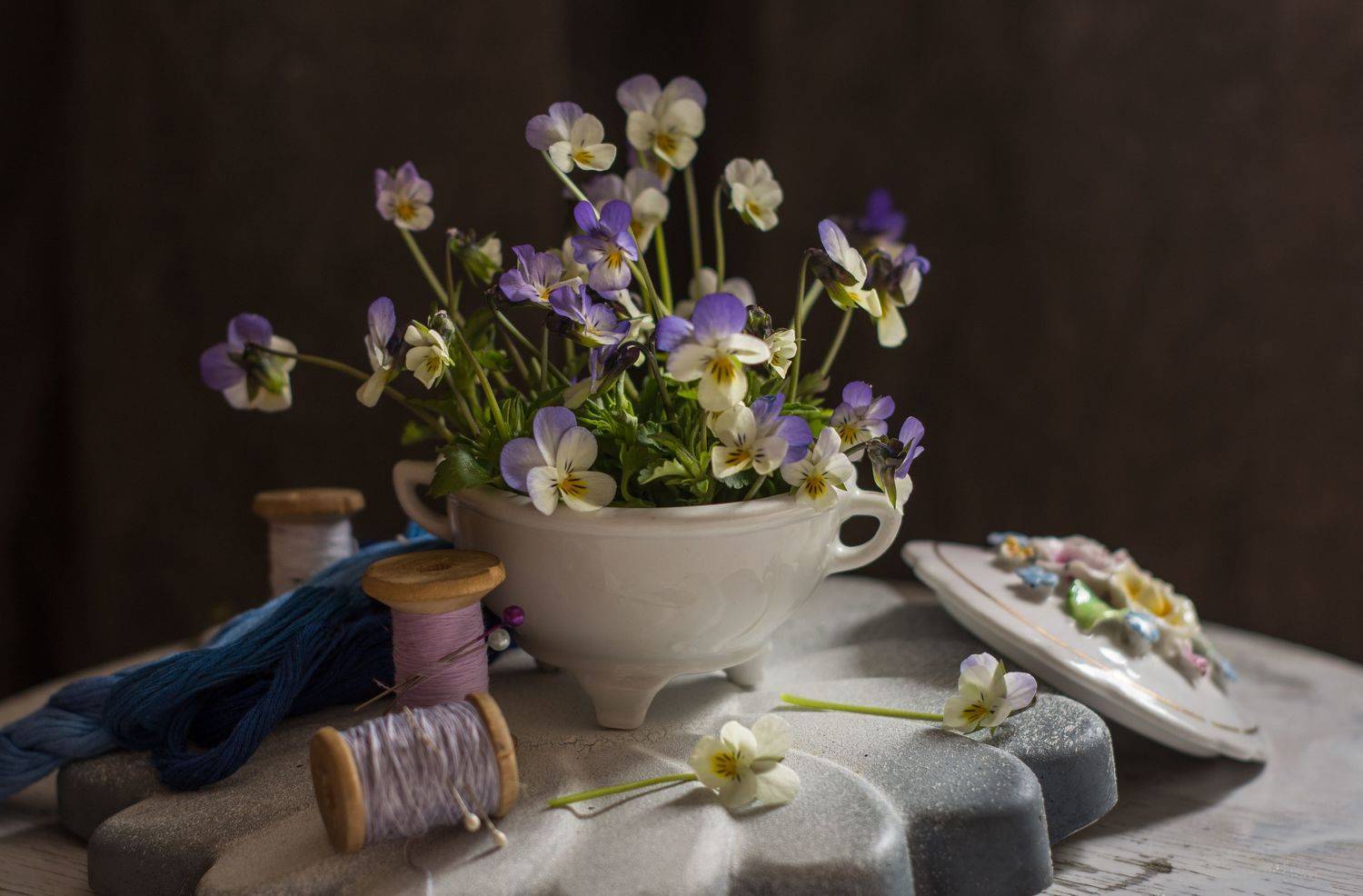 , Елена Плотникова