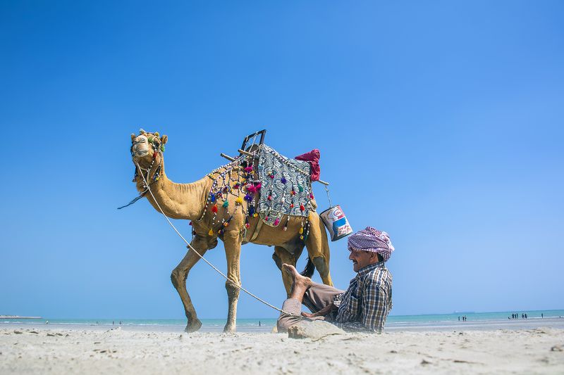 A world called Iran фото превью