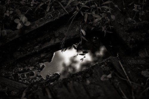 Reflection