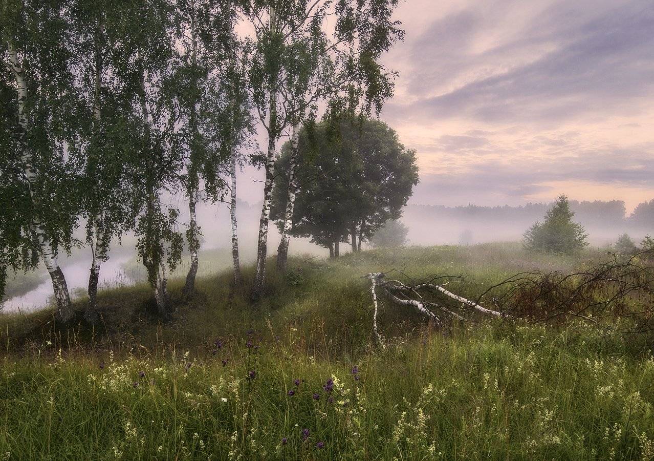 , Марина Брыдня