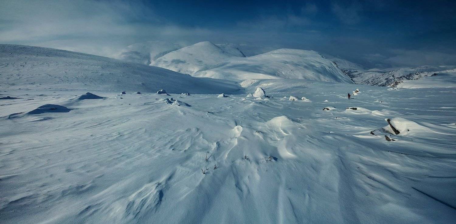 , Дмитрий Демидчик