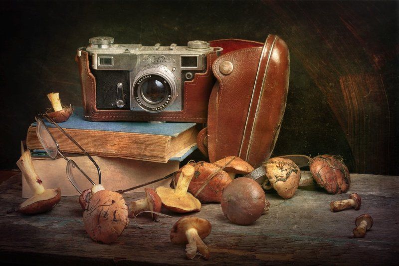 натюрморт, картина, грибы, фотоаппарат, книга, still life, mushrooms, book, photo Натюрморт с грибами фото превью