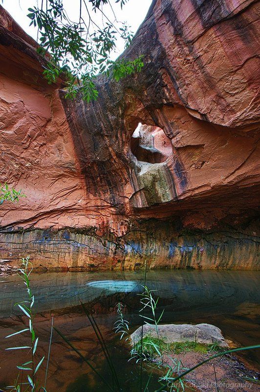 Desert Oasis and Pour Through Arch фото превью