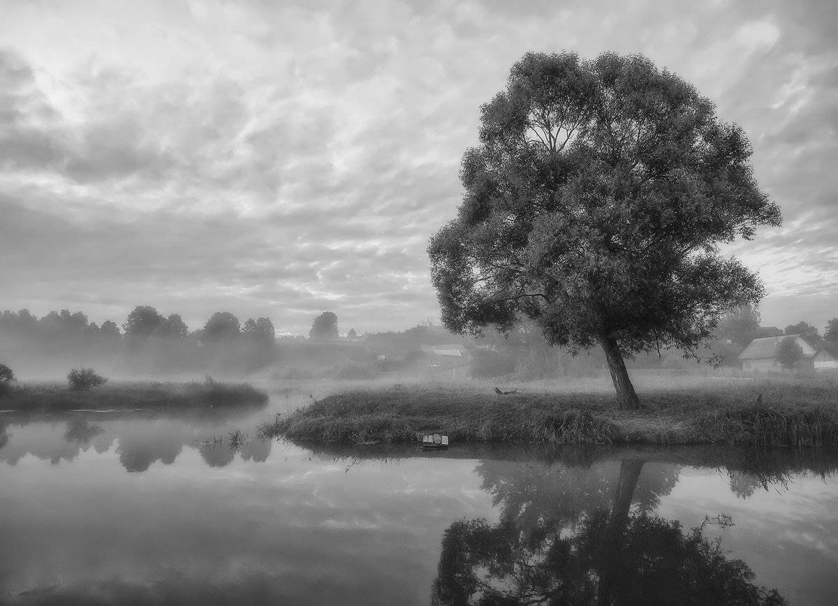 , Владимир Перепечаев