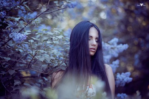 Dasha
