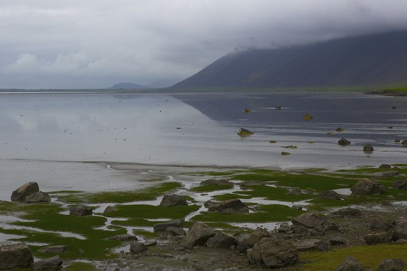 .... ... .. ..... фото превью