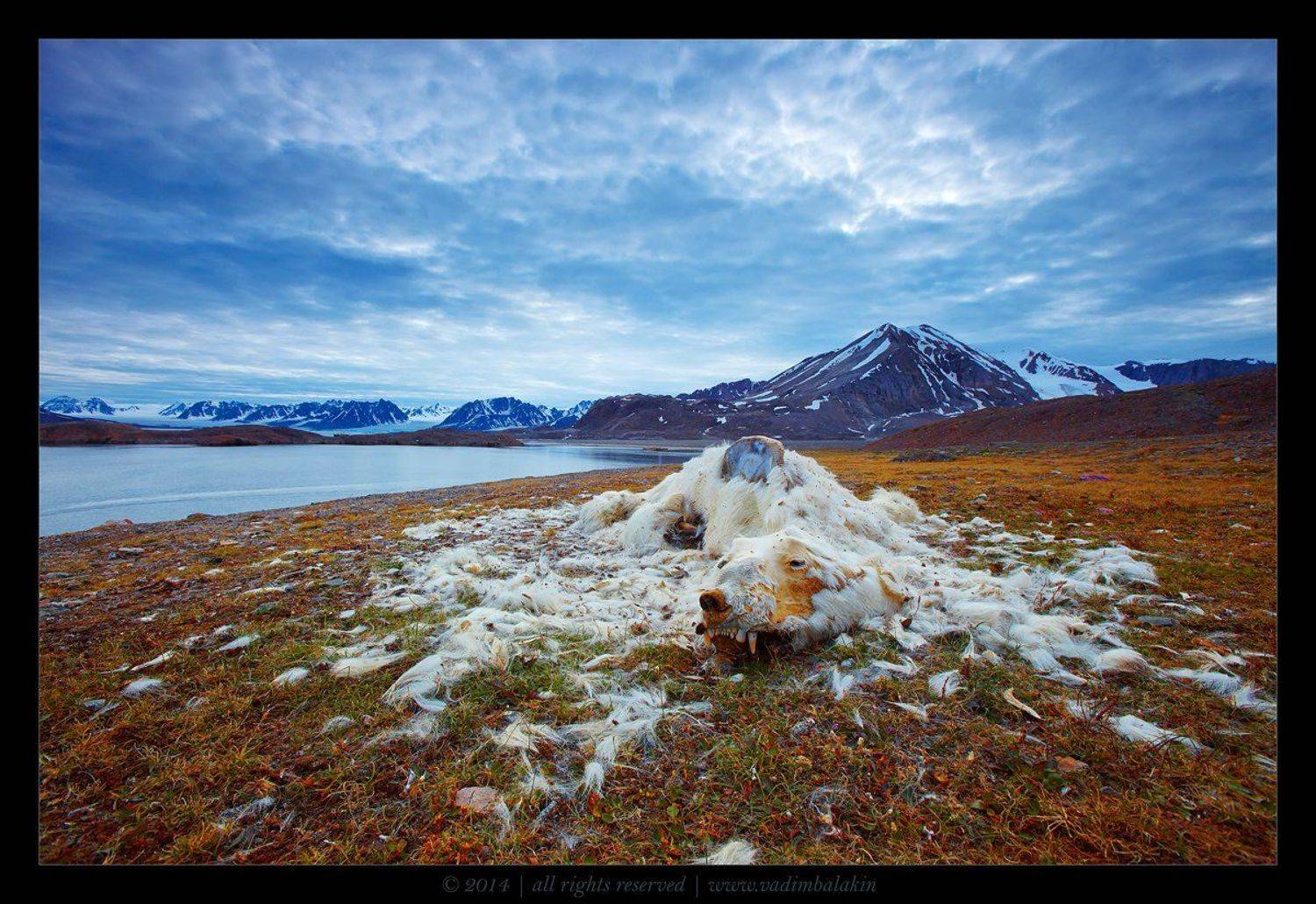 шпицберген, норвегия, Вадим Балакин