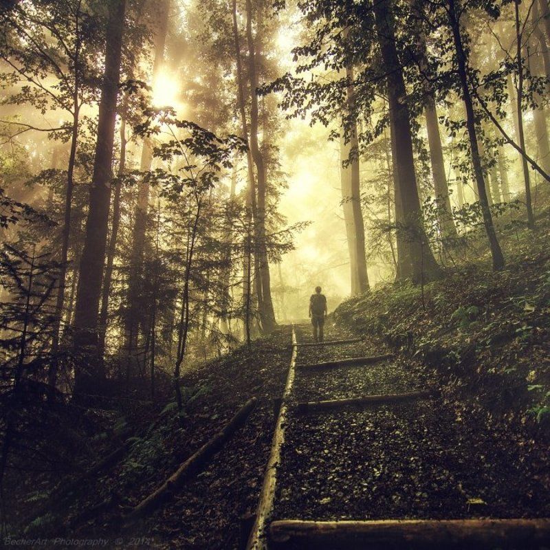 Had To Leave IV фото превью