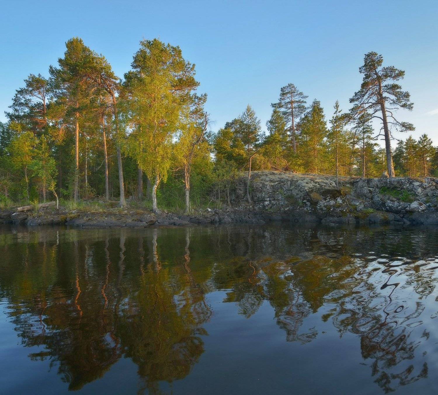 , Сергей Седов