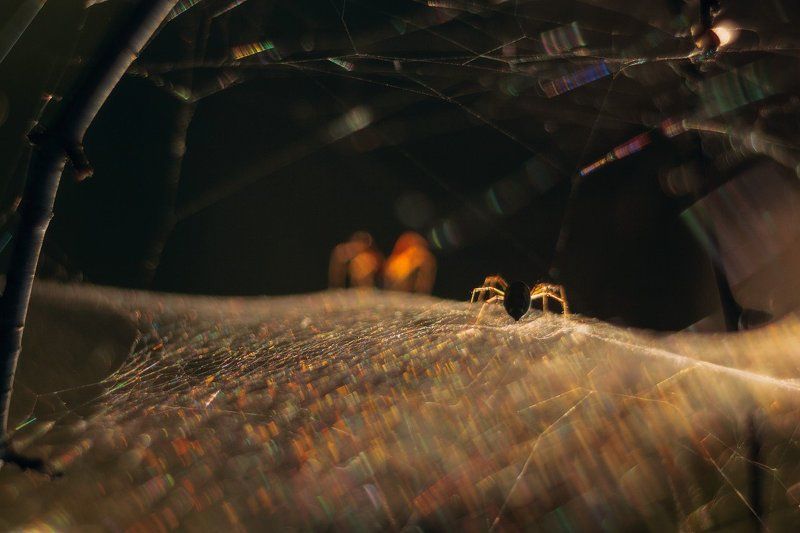 Любовный триллер фото превью