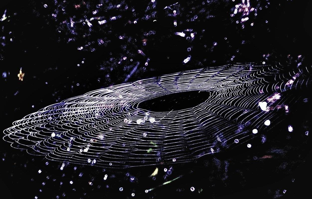 , Матвеев Николай