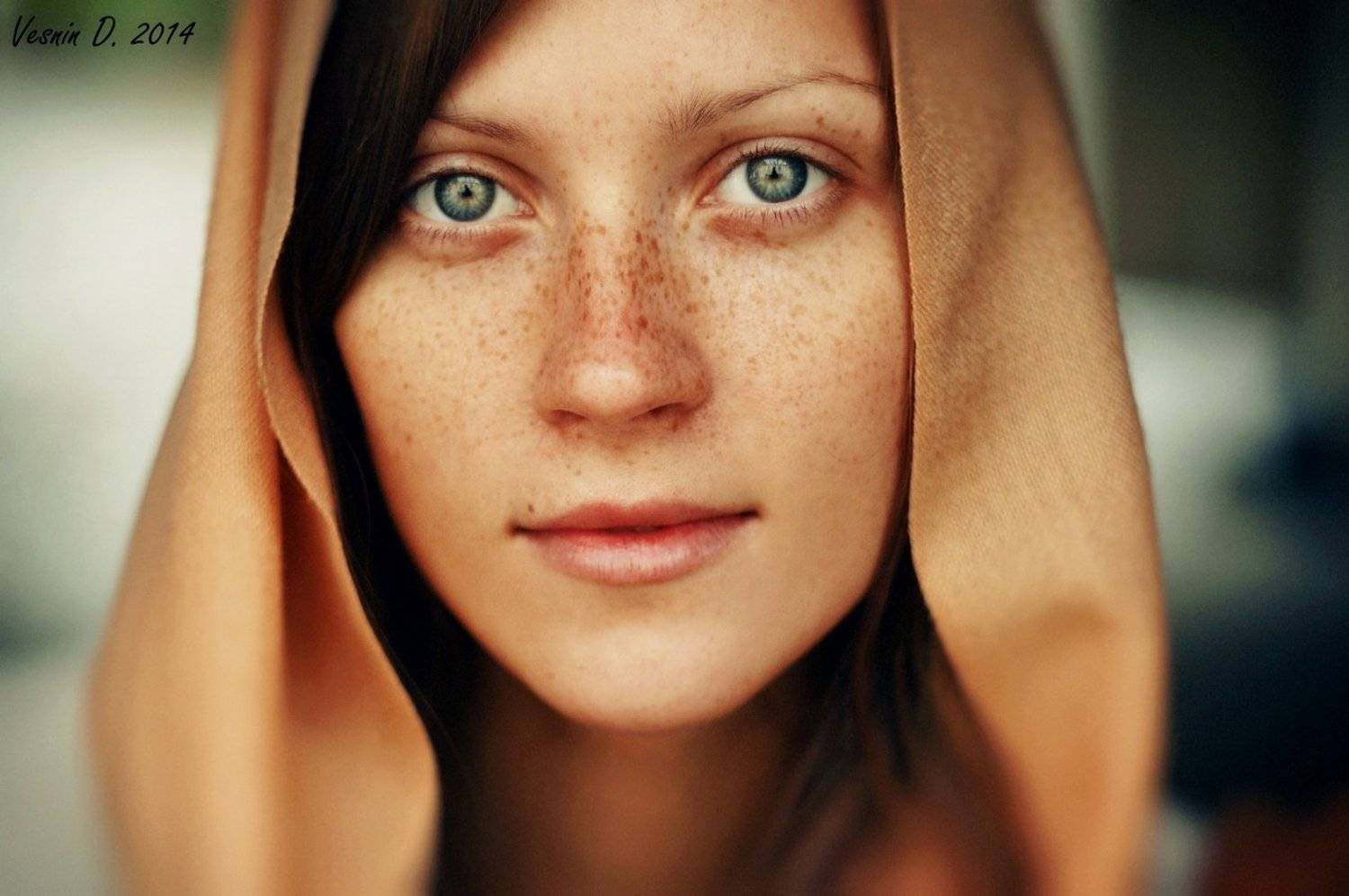 , Веснин Дмитрий