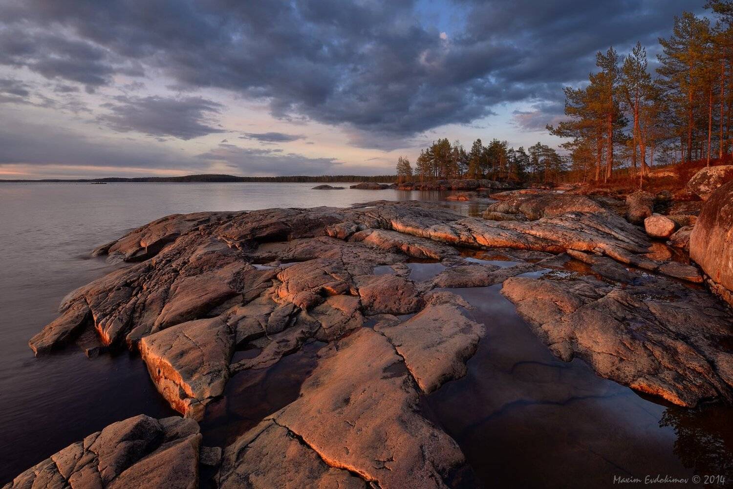 , Максим Евдокимов