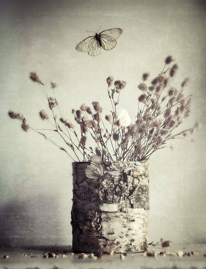 , Svoboda Andreeva