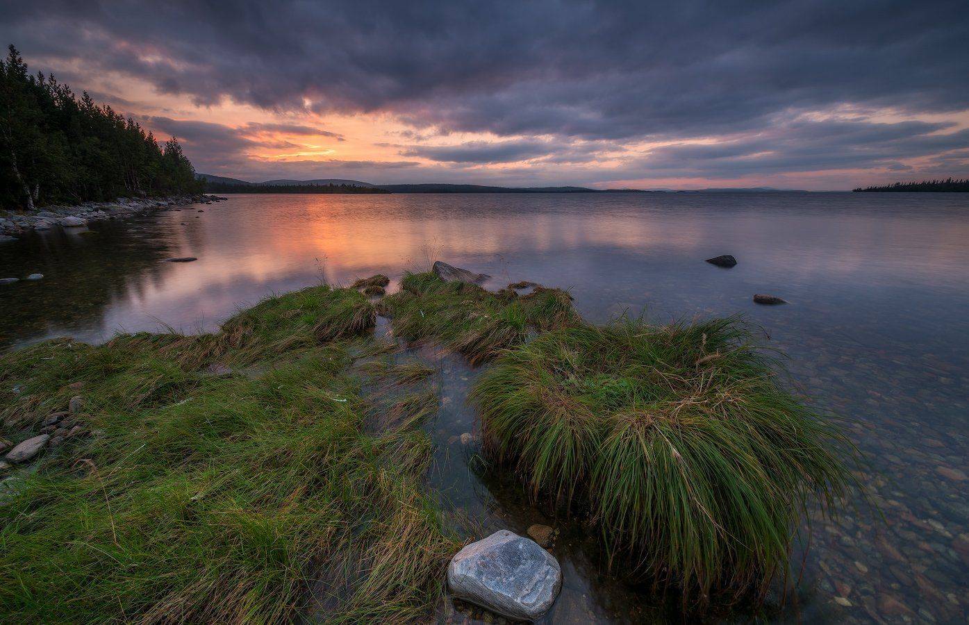 , Роман Горячий