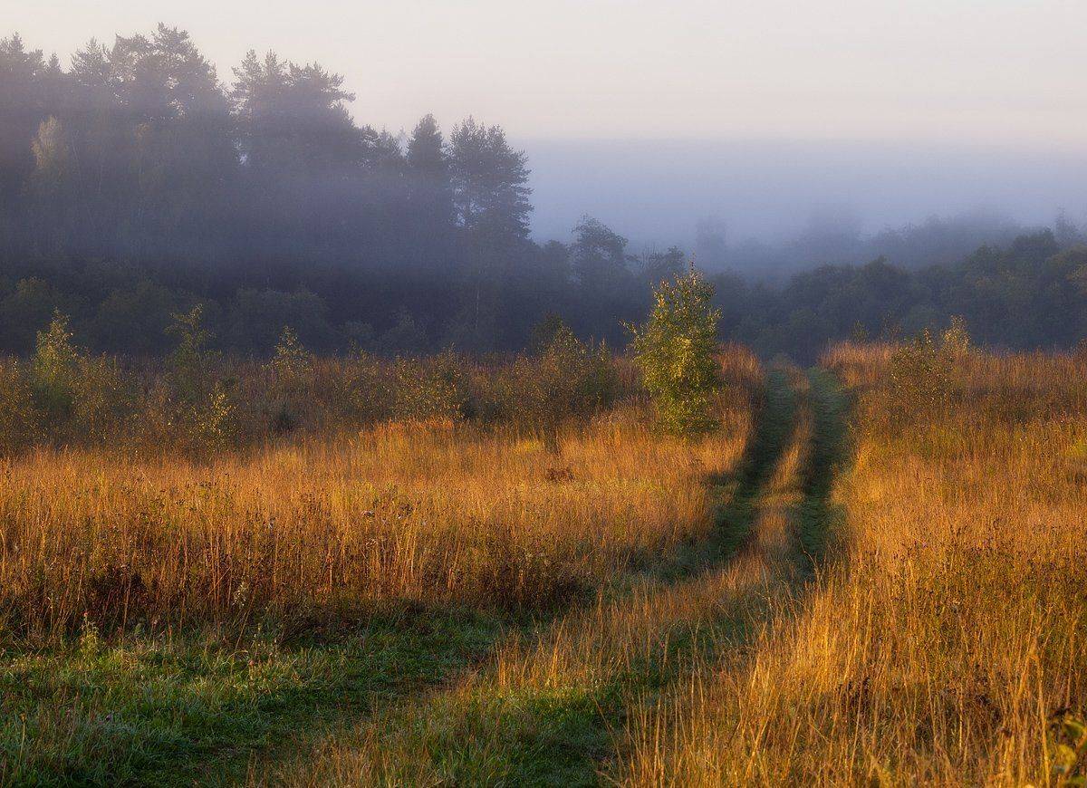, Владимир Перепечаев