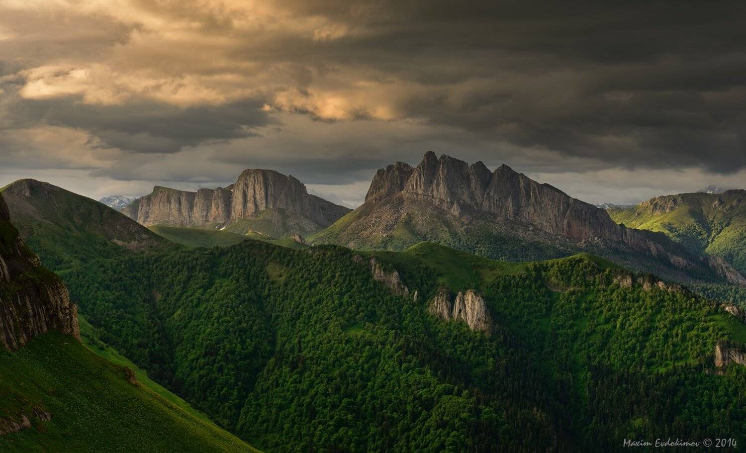 , Максим Евдокимов