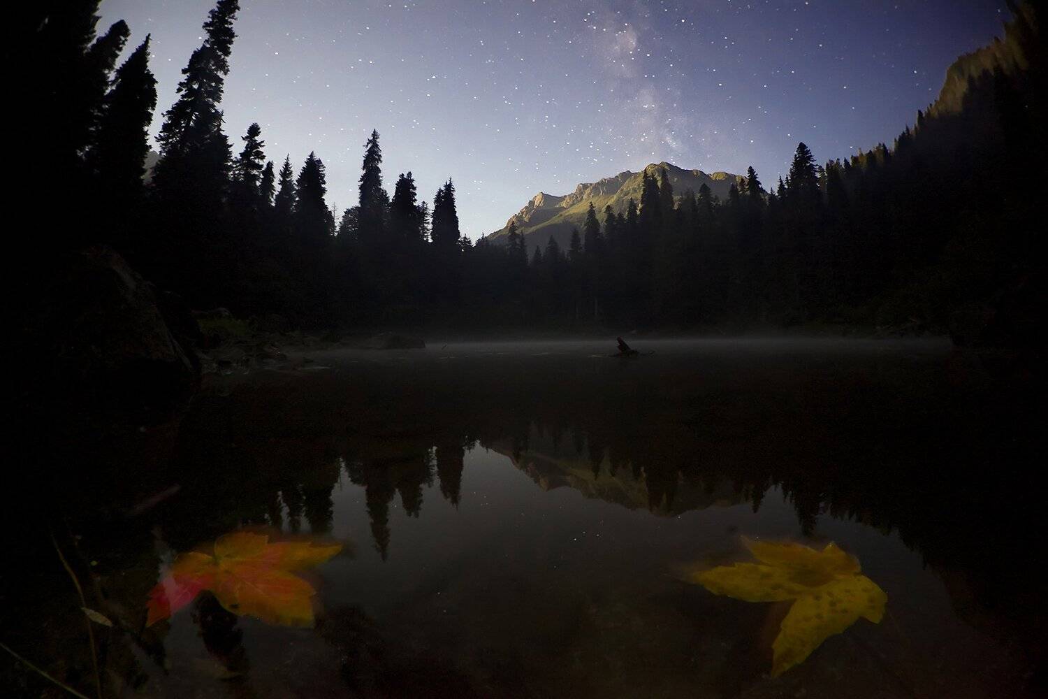 , Никифоров Егор