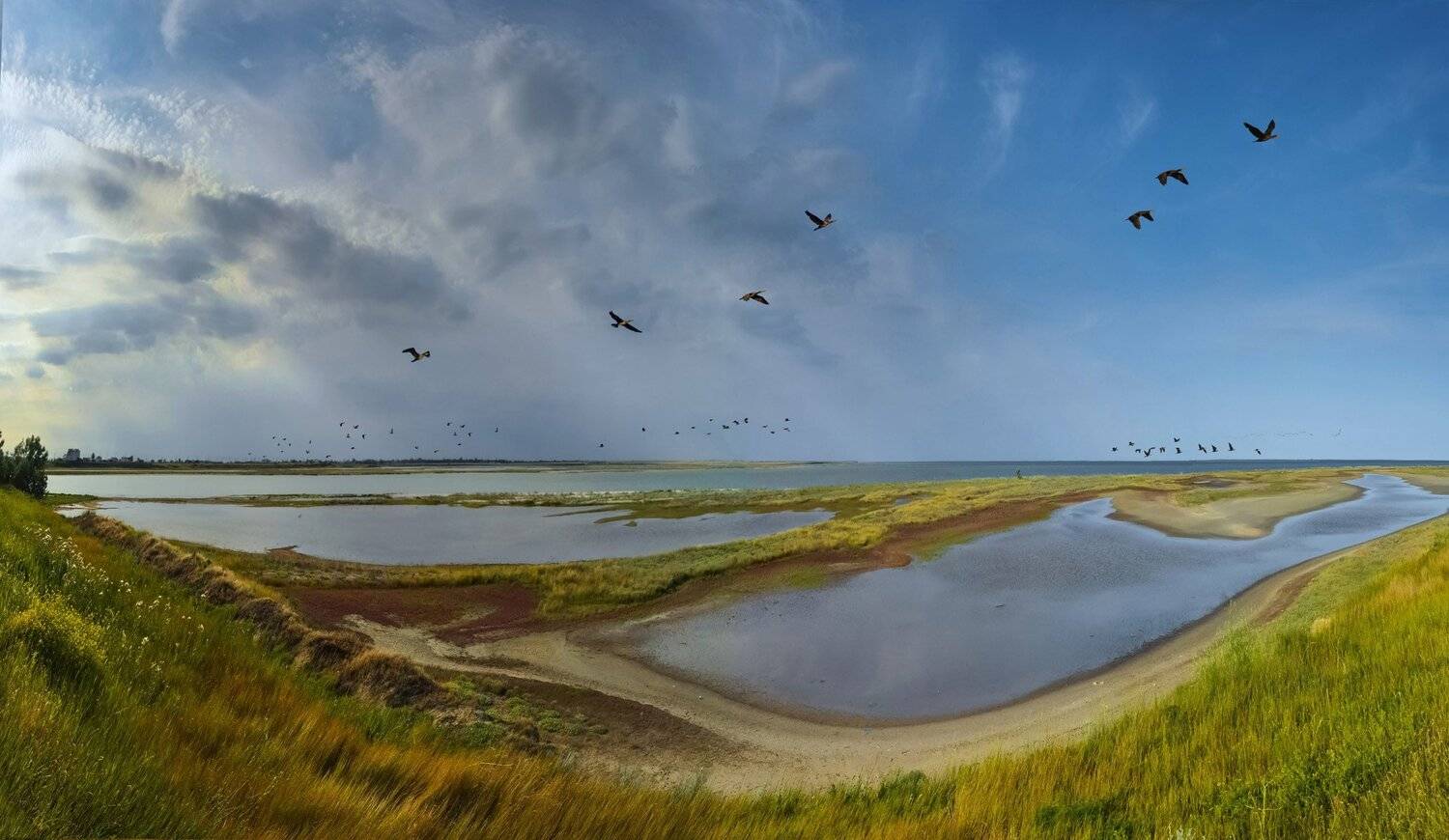 , Маркович Михаил